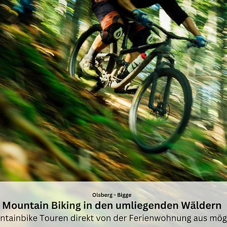 Ferienwohnungen Sauerland Und Olsberg Dış mekan fotoğraf