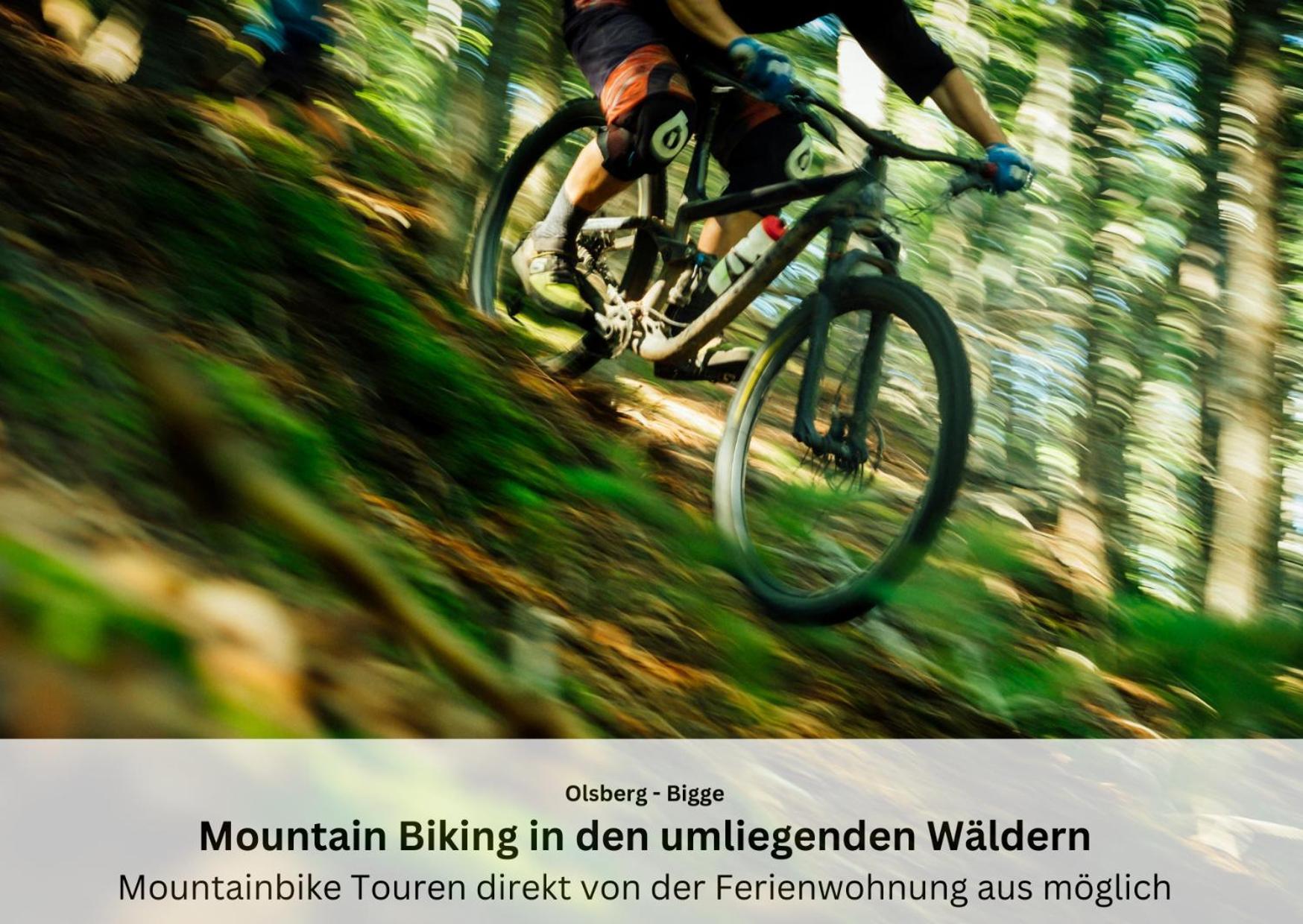 Ferienwohnungen Sauerland Und Olsberg Dış mekan fotoğraf