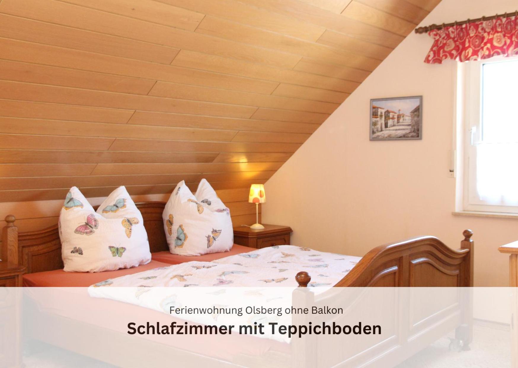 Ferienwohnungen Sauerland Und Olsberg Dış mekan fotoğraf