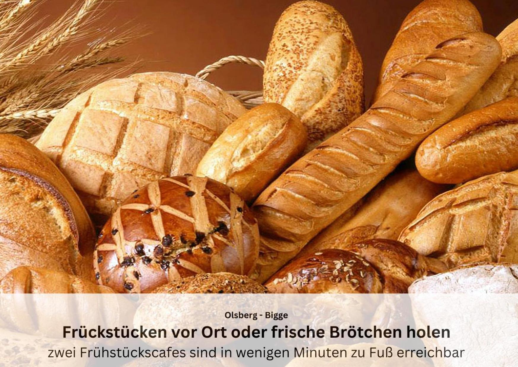 Ferienwohnungen Sauerland Und Olsberg Dış mekan fotoğraf