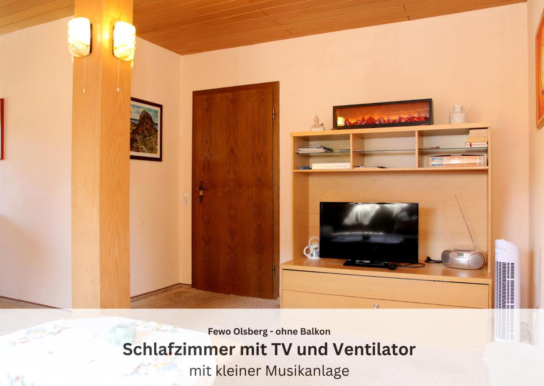 Ferienwohnungen Sauerland Und Olsberg Dış mekan fotoğraf