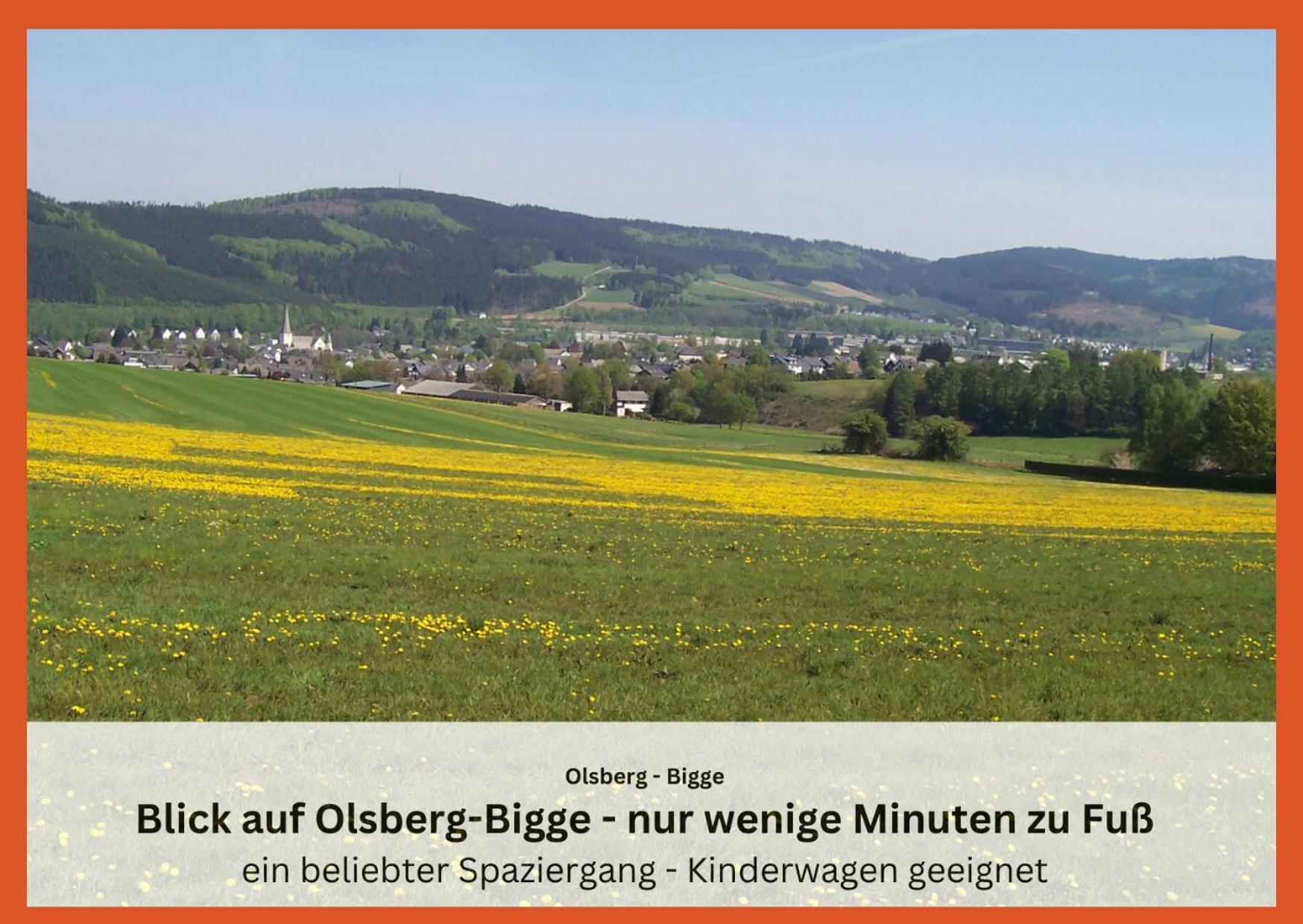 Ferienwohnungen Sauerland Und Olsberg Dış mekan fotoğraf