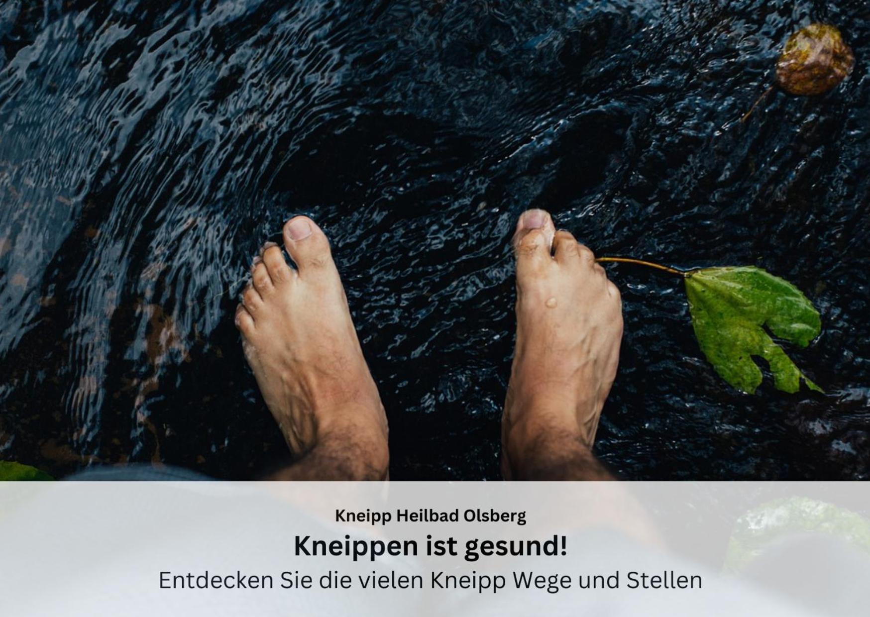 Ferienwohnungen Sauerland Und Olsberg Dış mekan fotoğraf