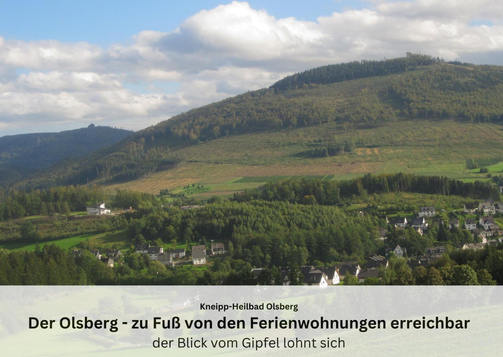 Ferienwohnungen Sauerland Und Olsberg Dış mekan fotoğraf