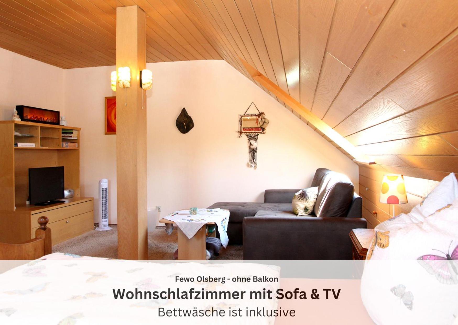 Ferienwohnungen Sauerland Und Olsberg Dış mekan fotoğraf