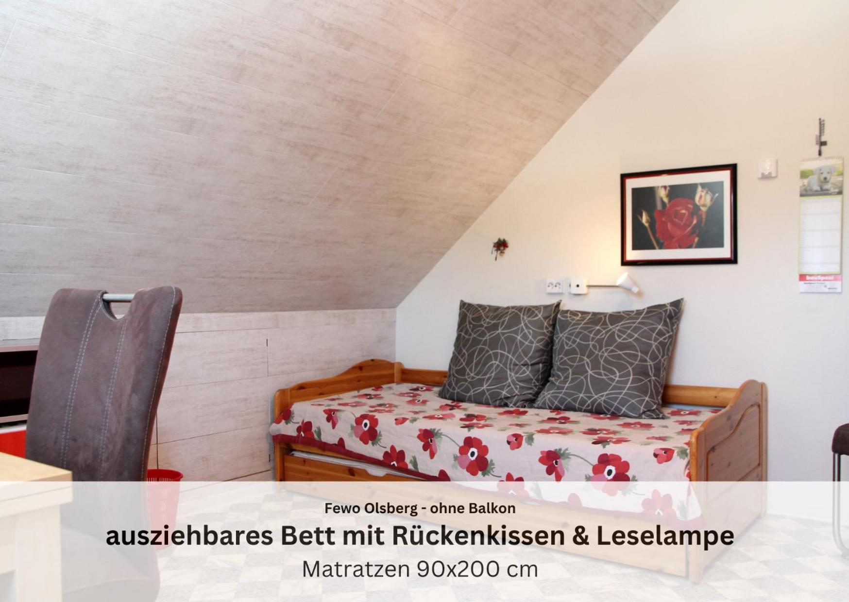 Ferienwohnungen Sauerland Und Olsberg Dış mekan fotoğraf