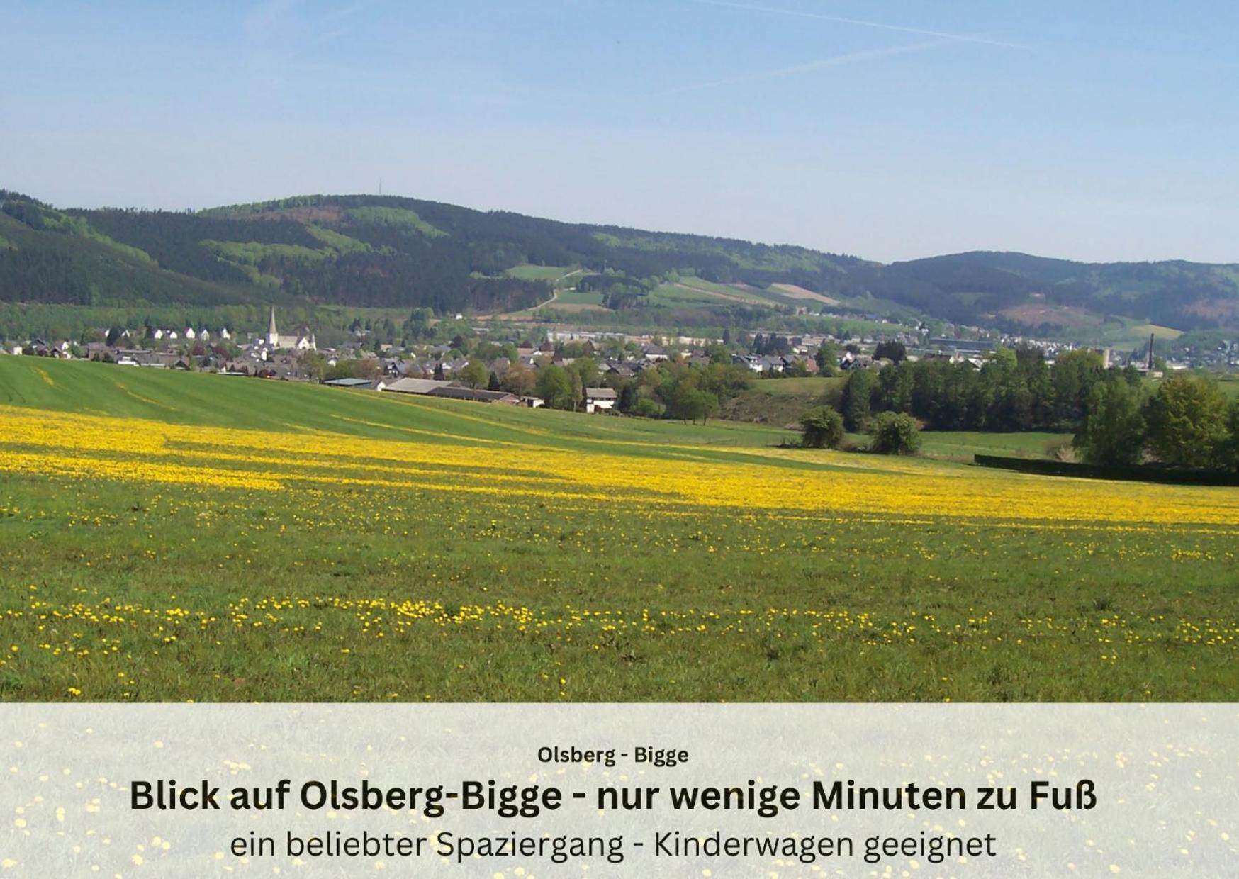 Ferienwohnungen Sauerland Und Olsberg Dış mekan fotoğraf