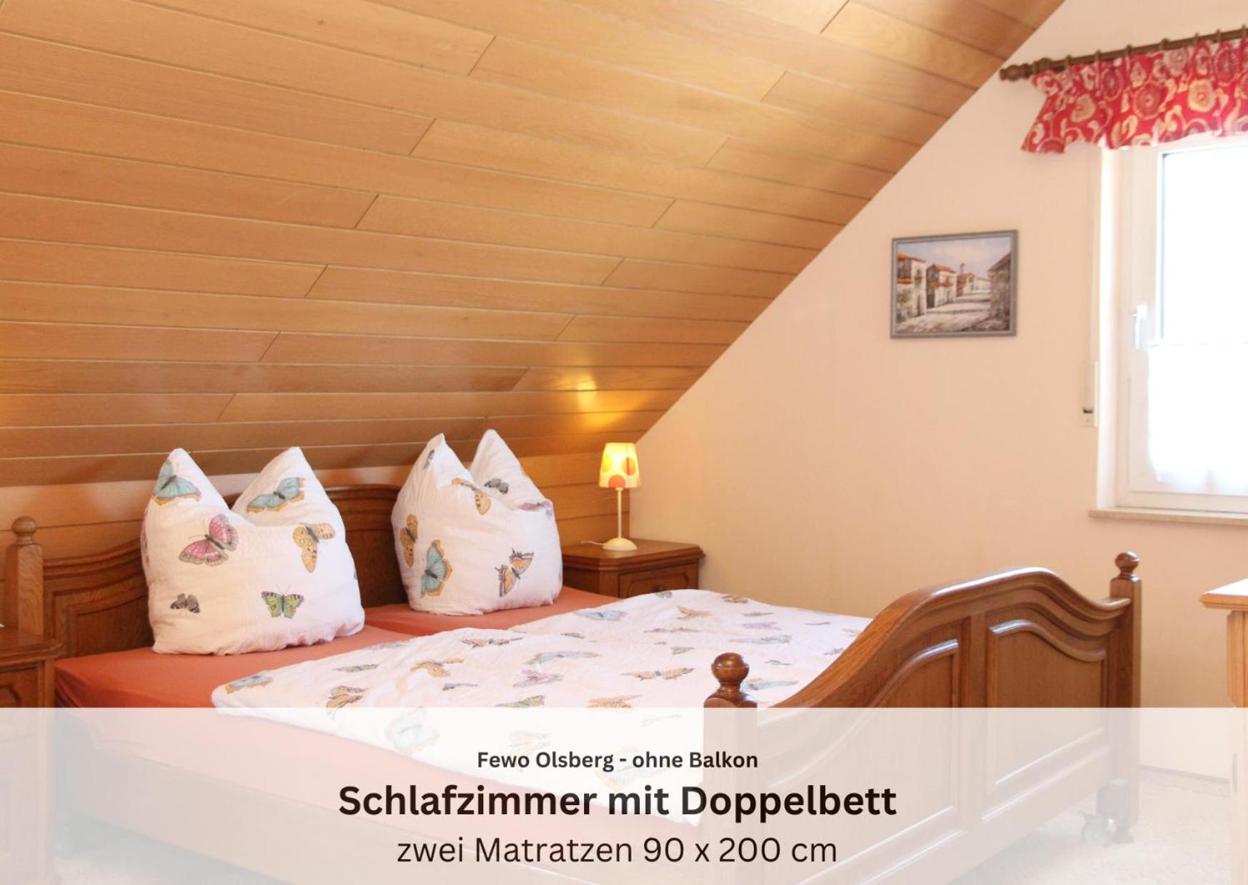 Ferienwohnungen Sauerland Und Olsberg Dış mekan fotoğraf