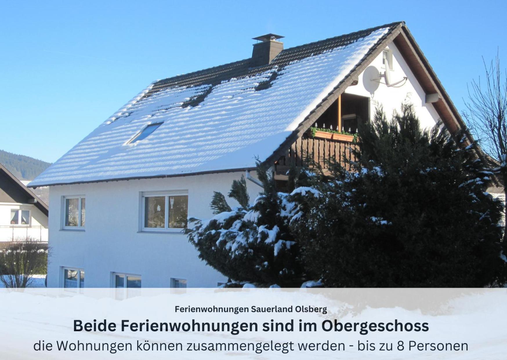 Ferienwohnungen Sauerland Und Olsberg Dış mekan fotoğraf