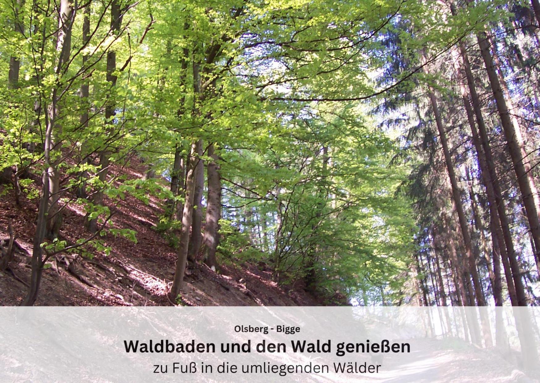 Ferienwohnungen Sauerland Und Olsberg Dış mekan fotoğraf