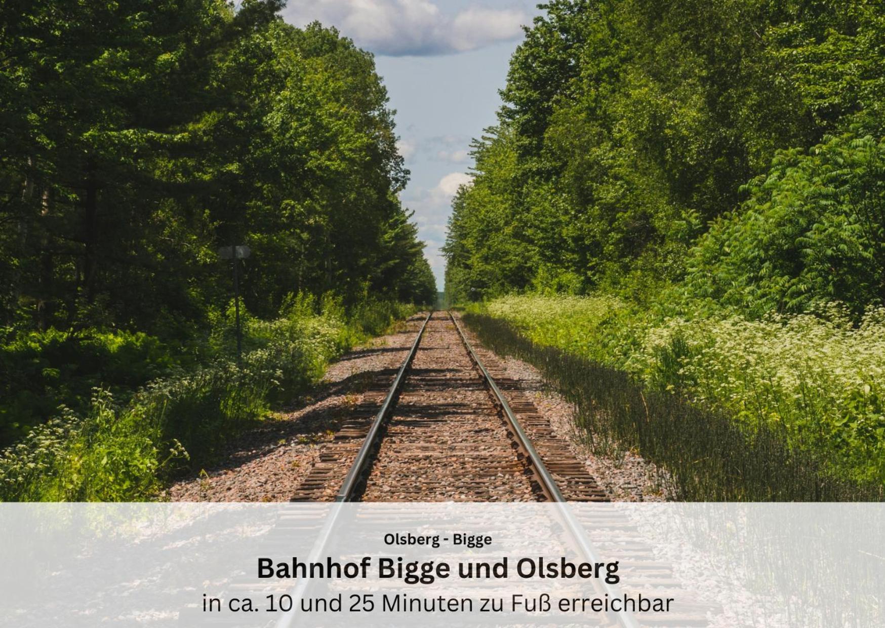Ferienwohnungen Sauerland Und Olsberg Dış mekan fotoğraf